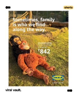 Even brands couldn’t resist jumping into the conversation, creatives, wordplay, and clever twists everywhere, all backing the Punch moment. When culture hits right, marketing follows fast.
#BrandBanter #CreativeMarketing #MomentMarketing #ViralVaultIndia