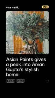 What does a founder’s personality look like at home? 
In Asian Paints’ Where The Heart Is, Aman Gupta opens the doors to his favourite spaces, from a bedroom with a stunning view to a bold tiger mural bathroom and a cosy den. And the highlight? A tiny tree that’s over 400 years old. Now that’s a home with stories.

#AsianPaints #WhereTheHeartIs #AmanGupta #HomeTour #ViralVaultIndia