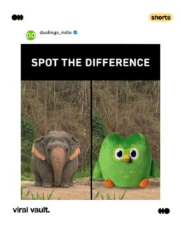One viral elephant. Countless brand reactions.
From memes to moment marketing, brands are proving once again that when the internet talks, marketers listen.
#MomentMarketing #ViralMarketing #BrandMarketing #ViralVaultIndia