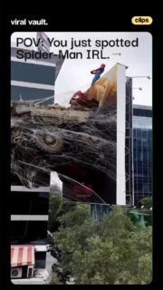 The billboard everyone stopped to stare at.

Credits: @chakliart 

#spiderman #spidermanbrandnewday #billboard #ViralVaultIndia