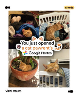 International Cat Day is here, and brands are feline good! 

From clever campaigns to adorable social posts, brands are jumping on #InternationalCatDay to celebrate our favourite furry companions, and, of course, win a little extra attention online. 

Swipe through to see how brands are celebrating the day with creativity, humour and plenty of cat energy!

#InternationalCatDay #CatDay #BrandCampaigns #CreativeAdvertising #BrandMarketing