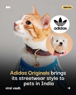 Streetwear has found a new audience, and this time, it has four legs.

Adidas Originals has launched its first-ever lifestyle pet collection in India, bringing its iconic streetwear aesthetic to our four-legged companions.

Because why should humans have all the style?

The collection gives pet parents a chance to bring a little Adidas Originals energy to their furry friends.

Would you dress your pet in streetwear?

#AdidasOriginals #Adidas #PetFashion #PetStyle #PetCollection #ViralVaultIndia 

[ Adidas Originals pet collection, Adidas pet collection India, Adidas petwear India, pet fashion India, pet streetwear, dog fashion India, pet lifestyle collection, pet clothing brands, Adidas Originals India, pet fashion trends ]