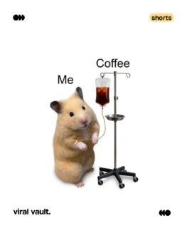 National Coffee Day is here, and so is the annual reminder that coffee isn't a beverage, it's a personality. 

Swipe for memes that get every "one last cup" promise, 3 PM crash and "sirf coffee pe zinda hoon" moment. Tag the friend who runs on caffeine and chaos. 

#NationalCoffeeDay #DesiMemes #RelatableMemes #OfficeHumour #ViralVaultIndia